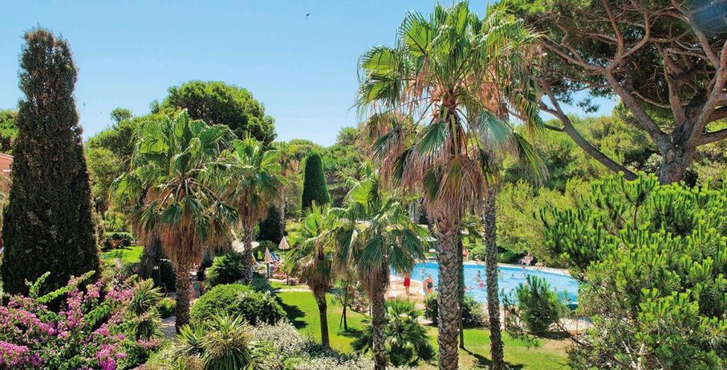 Aparthotel La Badine 5p Piscine Clim Jacuzzi Parc Luxuriant Hyeres