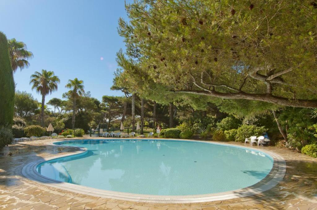 La Badine 5p Piscine Clim Jacuzzi Parc Luxuriant Hyeres