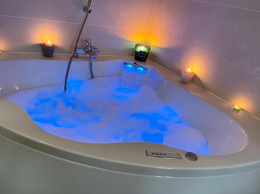 La Badine 5p Piscine Clim Jacuzzi Parc Luxuriant * Hyeres