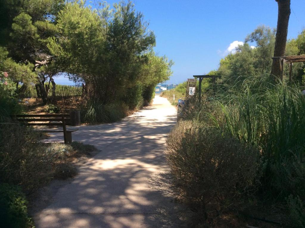 Aparthotel La Badine Clim Balneo Piscine Hyères